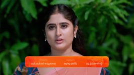 Subhasya Seeghram S01 E254 14th November 2023
