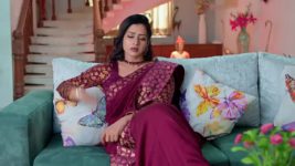 Subhasya Seeghram S01 E264 25th November 2023