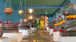 Subhasya Seeghram S01 E269 1st December 2023