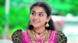 Trinayani (Kannada) S01 E871 8th November 2023