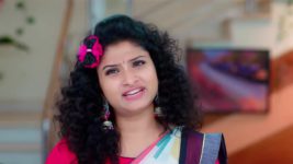 Trinayani (Kannada) S01 E879 17th November 2023