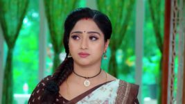 Trinayani (Kannada) S01 E880 20th November 2023