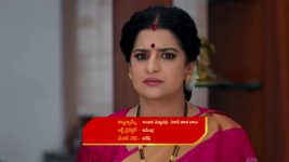 Vantalakka S01 E461 Dharani Provokes Vishnu