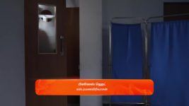 Vidhya No 1 S01 E548 3rd November 2023