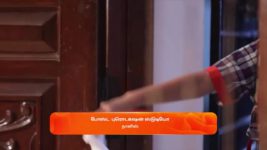 Vidhya No 1 S01 E565 23rd November 2023