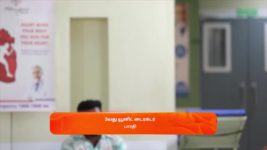 Vidhya No 1 S01 E571 30th November 2023