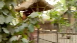 Dhrubatara S01E278 Tara in Danger Full Episode