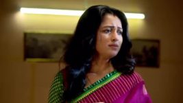 Dhrubatara S01E288 Tara Smells Something Fishy Full Episode