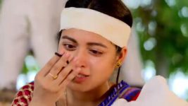 Dhrubatara S01E386 Tara Finds Uma Full Episode