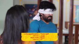 Eeramaana Rojaave S02 E499 Priya, Jeeva's Reunion