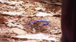 Iss Pyaar Ko Kya Naam Doon S03E21 Khushi has a fall Full Episode
