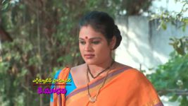 Koilamma S02E36 Krishna Is In Trouble? Full Episode