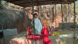 Koilamma S04E16 Manoj Stops The Sacrifice Full Episode