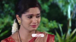 Koilamma S06E702 Amar Gets Shattered Full Episode