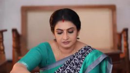 Pandian Stores S01E858 Mallika Mocks Mulla Full Episode