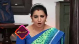 Pandian Stores S01E97 Meena's Happiness Is Short-lived Full Episode