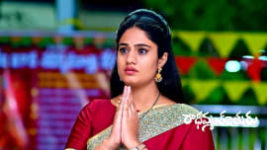 Radhamma Kuthuru S01 E1252 16th November 2023