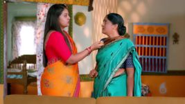 Annapoorna S01 E381 15th December 2023
