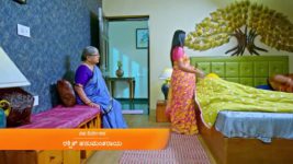 Gattimela S01 E1239 28th December 2023 Gattimela S01 E1239 28th December 2023