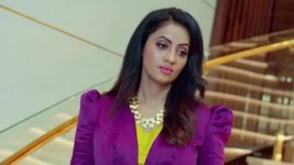 Jagadhatri (zee telugu) S01 E100 14th December 2023