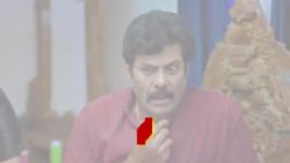Madhuranagarilo (Star Maa) S01 E246 Radha, Madhura Are in Distress