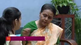 Nava Gadi Nava Rajya S01 E437 18th December 2023
