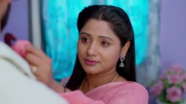 Nuvvu Nenu Prema S01 E482 Padmavathi in a Tight Spot