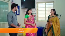 Puttakkana Makkalu S01 E539 14th December 2023