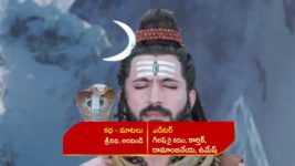 Renuka Yellamma (Star Maa) S01 E219 Renu Maharaja Aids Neelakantam