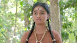 Renuka Yellamma (Star Maa) S01 E223 Renuka Feels Delighted