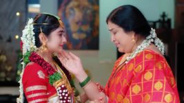 Subhasya Seeghram S01 E294 30th December 2023