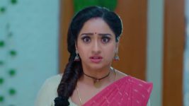 Trinayani (Kannada) S01 E901 19th December 2023