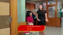 Vantalakka S01 E483 Vishnu in a Bind