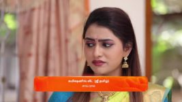 Vidhya No 1 S01 E596 29th December 2023