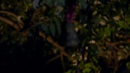 Ayushaman Bhava S01E21 Krissh, Now a Young Man! Full Episode