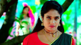 Jagadhatri (zee telugu) S01 E24 16th September 2023