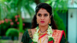 Jagadhatri (zee telugu) S01 E74 14th November 2023