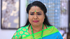 Kanne Kalaimaane S01 E357 Vijayalaxmi Is in for a Shock!