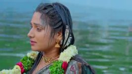 Nuvvu Nenu Prema S01 E486 Arya Discovers Murali's Truth
