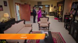 Amruthadhare S01 E176 29th January 2024