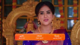 Amudhavum Annalakshmiyum S01 E469 19th January 2024