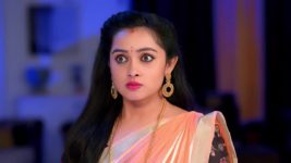 Annapoorna S01 E428 31st January 2024