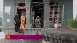 Appi Aamchi Collector S01 E452 10th January 2024
