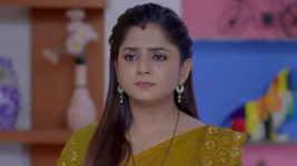 Guppedantha Manasu S01 E978 Vasudhara Rebukes Bhadra