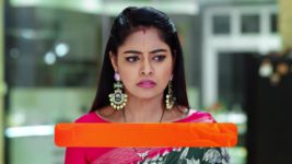 Jagadhatri (zee telugu) S01 E134 23rd January 2024