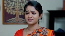 Malli Nindu Jabili S01 E559 Malli Pleads with Shankaramma
