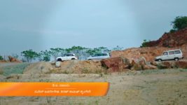 Puttakkana Makkalu S01 E564 12th January 2024
