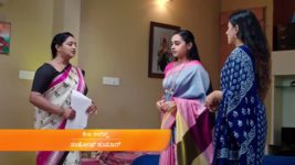 Puttakkana Makkalu S01 E567 16th January 2024