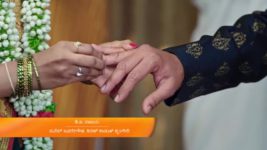 Puttakkana Makkalu S01 E576 29th January 2024