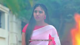 Radhamma Kuthuru S01 E1317 31st January 2024
